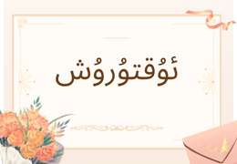 زىلكار تور تېخنىكا  ئىشخانسى 