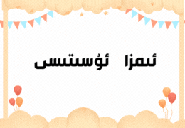 ئىمزا لاھىيلەش دىتالى (كومپىيوتىر نوسقا)-زىلكار تور تېخنىكىسى زىلكار تور تىخنىكىسى