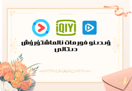 ۋىدىئو فورمات ئۆزگەرتىش قورالى-زىلكار تور تېخنىكىسى زىلكار تور تىخنىكىسى